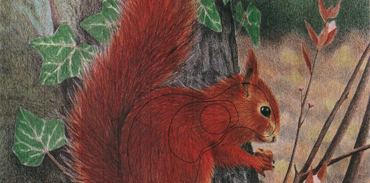 Auflage Eichhörnchen 25 x 26 cm