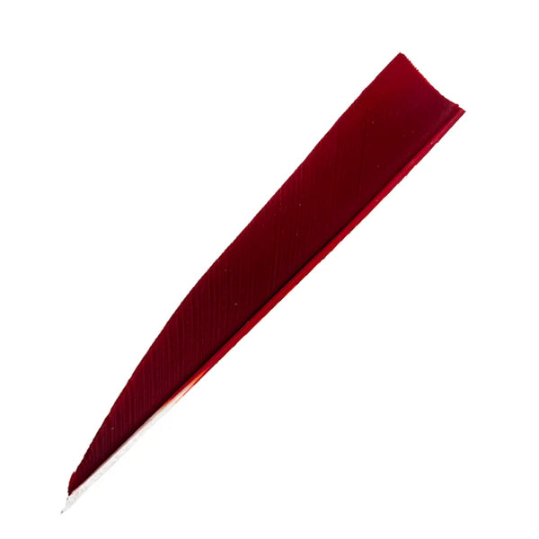 Feder RW Shield