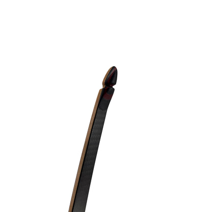 Bodnik Bows Raven Carbon
