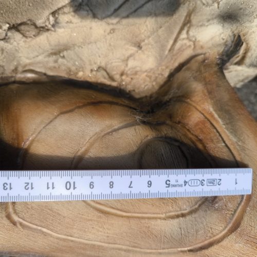 PROTOWERK4D Fischotter mit Fisch