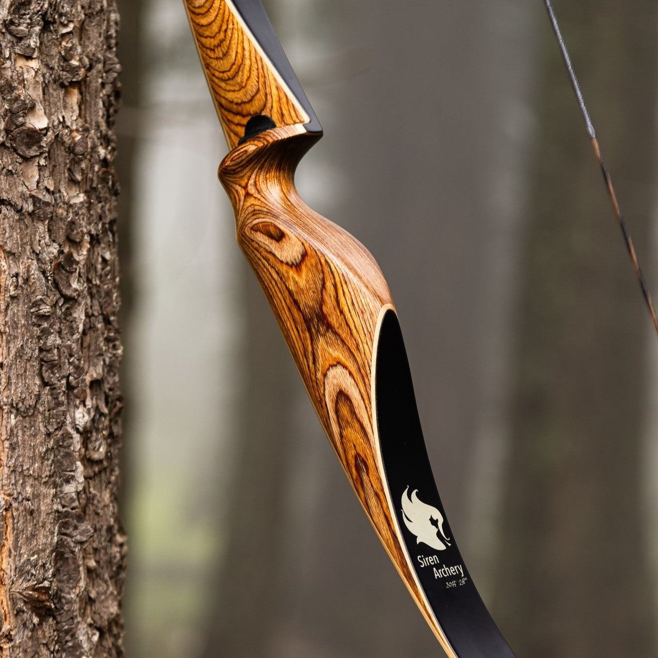 Zelos - Siren Archery