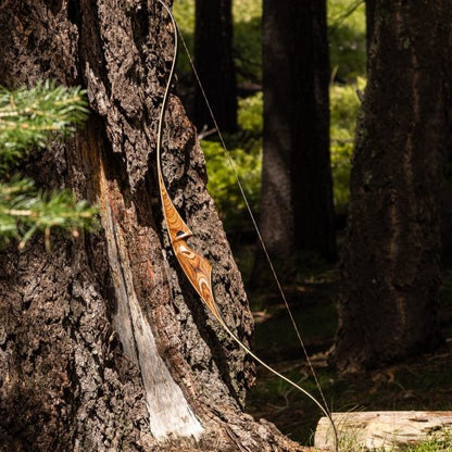 Zelos - Siren Archery