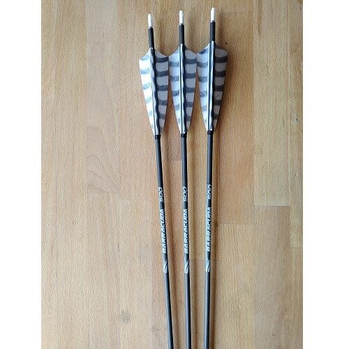 Wunschpfeil Henry Bodnik Barracuda