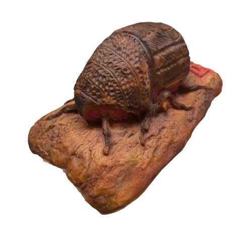 Borkenkäfer 3D-Ziel InForm3D