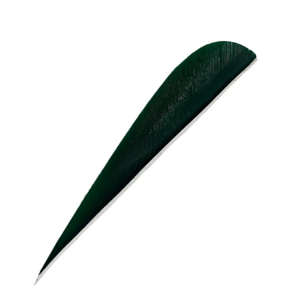 Feder RW Parabol