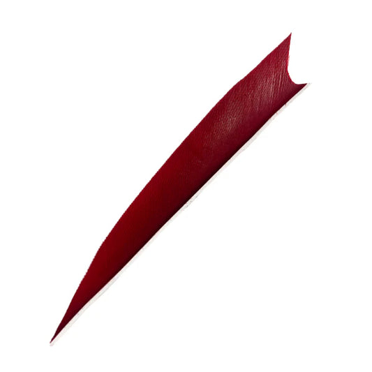 Feder RW Shark