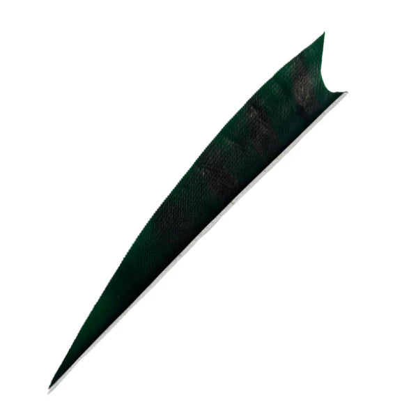 Feder RW Shark